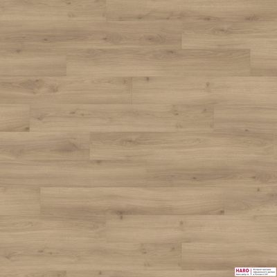 Декор ламината Haro Tritty 100 Дуб Эмилия Пуро 538691 фронт