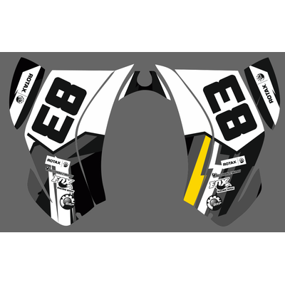 Can-am BPR DS 450 #1409