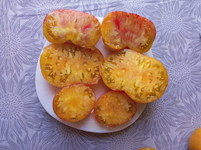 Томат Медовое авеню (Honey avenue)