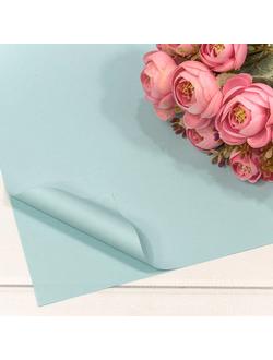 Пленка матовая в листах "Корейская" 56*56см 20шт Голубой ПЛ28/10