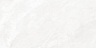 Настенная плитка Alma Ceramica TWU2550PRS07 249x500