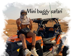 MINI BUGGY SAFARI (morning or afternoon)