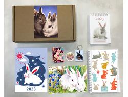 Бокс год Кролика №8