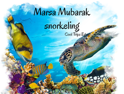 Sea trip to Marsa Mubarak - snorkling tour