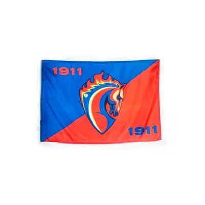 Флаг ФК ЦСКА 45х60 ТАЛИСМАН 1666011