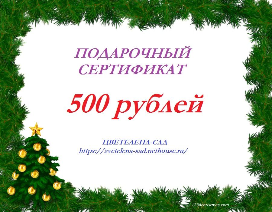 Сертификат с новогодней тематикой. Подарочный сертификат учителю на новый год. Подарочный сертификат учителю на новый год. Подарочный сертификат учителю на новый год. Подарочный сертификат учителю на новый год.