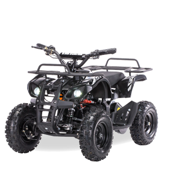 Квадроцикл MOTAX ATV X-16 1000W