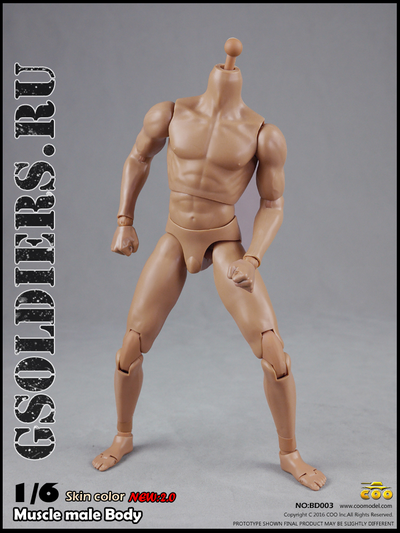 Тело мускулистое с шеей 1/6 - NEW:2.0 Body NO: BD003 - COOMODEL