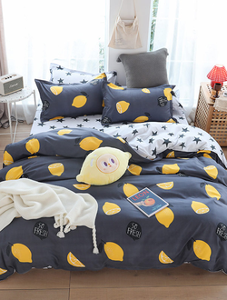 Постельное белье TANGO Dream Fly микросатин полутороспальное 150x200x1 180x230x1 50x70x1 70x70x1 DF01-83