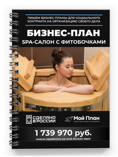 Бизнес-план для соцконтракта. Ниша: SPA-салон с фитобочками. Форма: Самозанятость. Смета на: 350.000