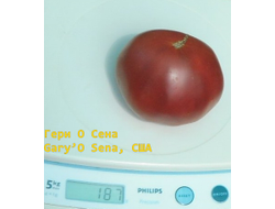 Томат Гари о Сена (Gary'O Sena)