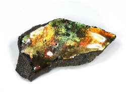 Аммолит, коллекционный образец, Канада (42*20*9 мм, 10 г) №27117