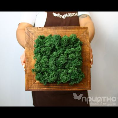 Живая Эко-Картина 1069