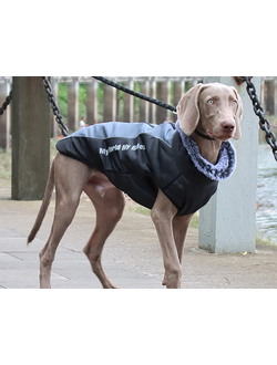 Куртка для собак My World My Rules