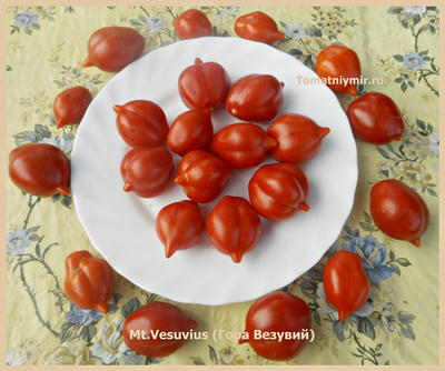 Томат Гора Везувий (Mt.Vesuvius, Mountain Vesuvius)