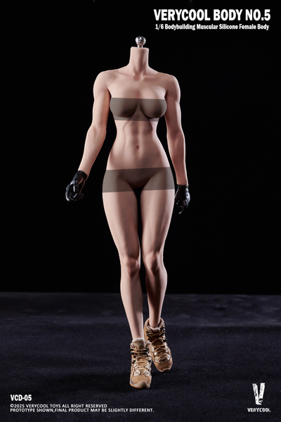 ПРЕДЗАКАЗ - Мускулистое бесшовное женское тело - Коллекционная фигурка 1/6 Silicone Female Body Bodybuilding Muscular Physique Natural Skin Tone (VCD-05B) - VERYCOOL  ?ЦЕНА: 9900 РУБ.?