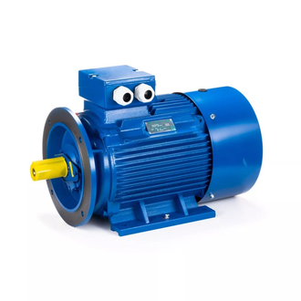 Электродвигатель АИС 180M2 (22 кВт) IM B35
