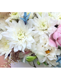 ХРИЗАНТЕМА КУСТОВАЯ