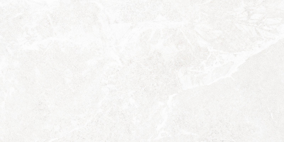 Настенная плитка Alma Ceramica TWU2550PRS07 249x500