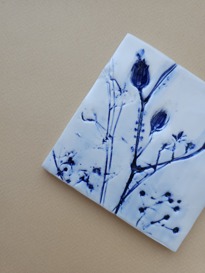 Шалфей // 10*10