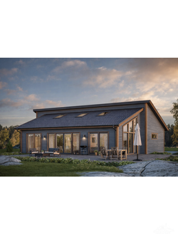 odnoetazhnie-doma-iz-profilirovannogo-drusa-naturalnyi