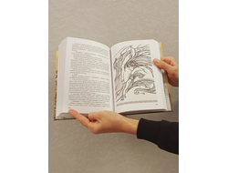 Сергей Алексеев. Чёрная Сова.