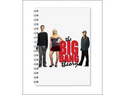 Тетрадь Теория большого взрыва, The Big Bang Theory №13