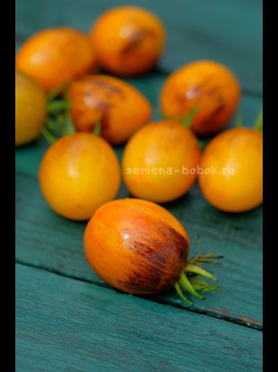 Томат Atomic Sunset (Атомный Закат), 10 шт