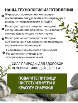 Кормовая добавка для собак и кошек: Масло лосося + масло расторопши + масло рейши, DOBROPET, 100 мл