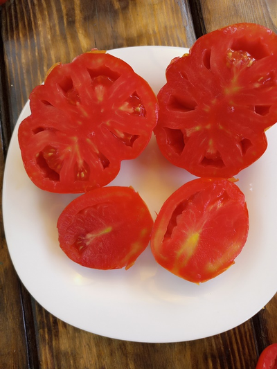 Томат Сердце Альбенги (Albenga), Италия