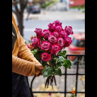 Роза Эквадор "Дип Перпл" 50 см 15 шт