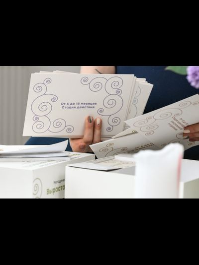 Методическое пособие «Вырастаем вместе». И. Андрейченко, М.Соковнина (коробка с карточками и книга)