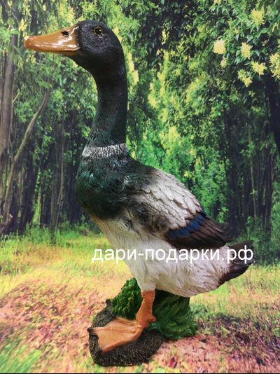 Селезень - красавец 40*28см полистоун Россия 1675/012564*