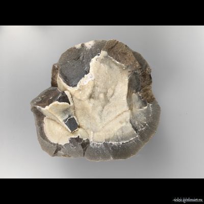 септария драконий камень кальцит конкреция