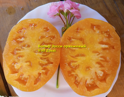 Томат Вольф Зосси оранжевый (Volf Zossi)