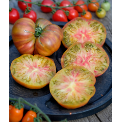 Томат Ярсон 7/1 (Jarson 7/1), 10 шт