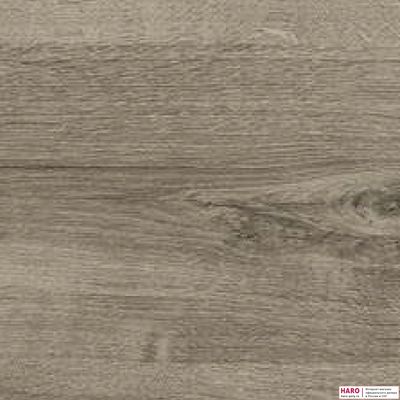 Ламинат Haro Daily Edition Дуб Калла Серый 541341 31 класс толщина 7 мм без фаски 2.22 м2