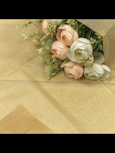 Бумага тишью в листах (10шт., крафт), 50*66см