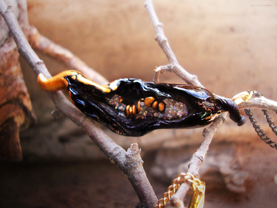 "Семечко из сада Нави", подвеска с чёрным перцем чили и золотыми семенами