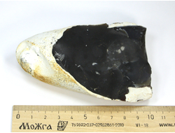 Кремень черный в светлой природной корочке, необработанный "дикий" образец, Россия (100*65*40 мм, 285 г) №21532