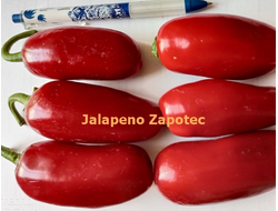 Перец острый Jalapeno Zapotec