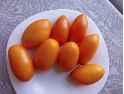 Томат Золотая рыбка