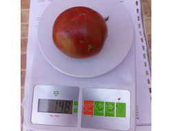 Томат Гном Тенесси Сюит (Dwarf Tennessee Suited)