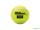 Теннисные мячи Wilson Roger Federer Legacy All Court x4