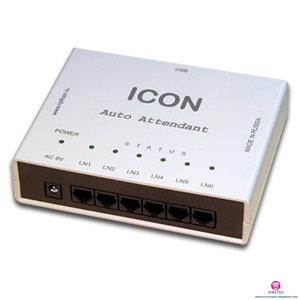 Автосекретарь ICON AA456USB