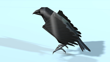 3D модель вороны