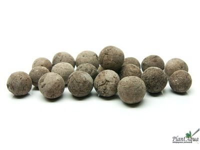 Глиняные шарики для Эхинодорусов и Криптокорин, 7шт