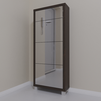 Обувница Айрон-3 Плюс (фасад Зеркало)