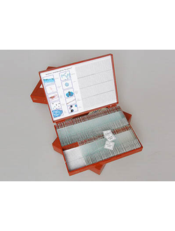 Комплект микропрепаратов "Ботаника 1"