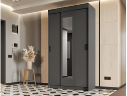 Шкаф-купе ЭКО Графит ЭРА